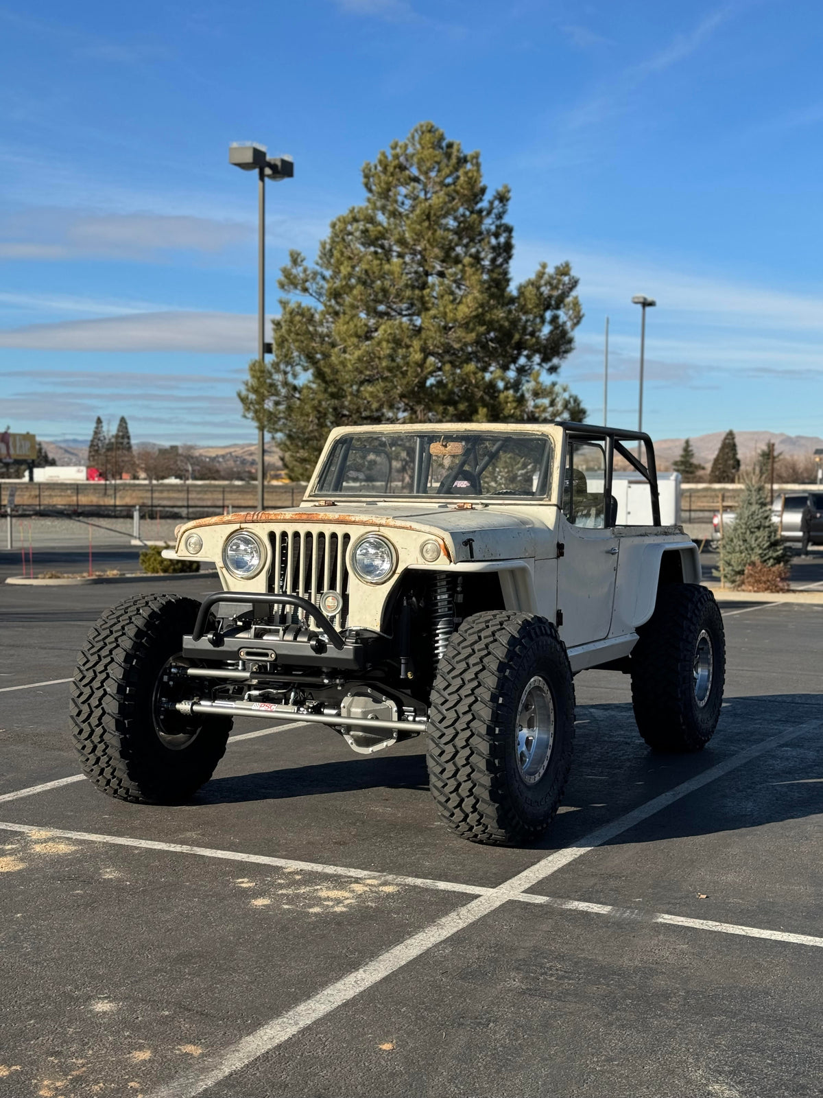 Fenders